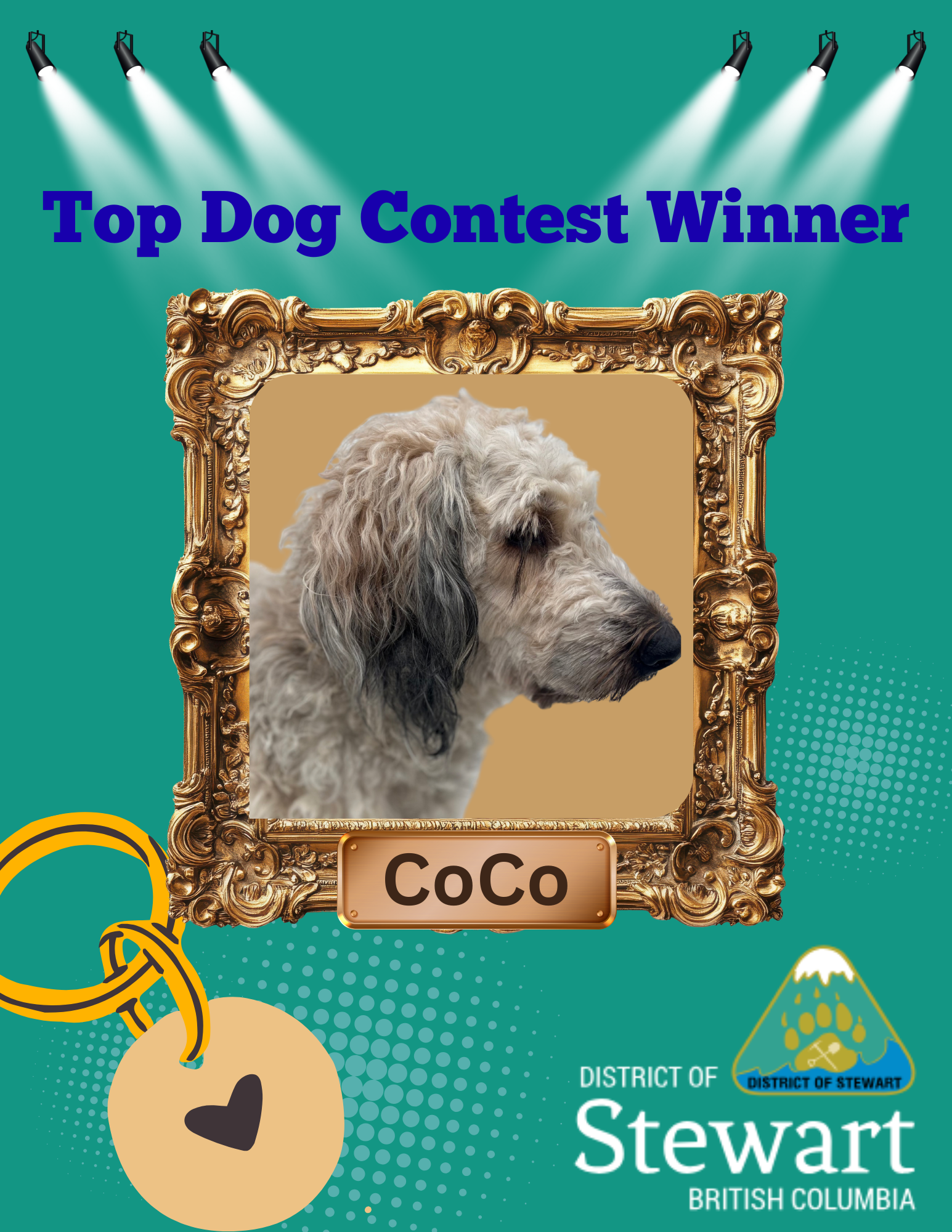 Top_Dog_Contest_2026_Graphic