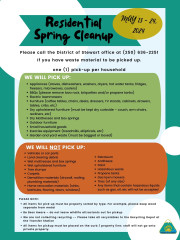 Residential Spring Cleanup