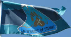 NEW District of Stewart Flag-as of June 2015.jpg