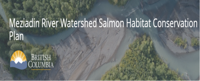 Public Engagement: Meziadin River Salmon Habitat Conservation Plan